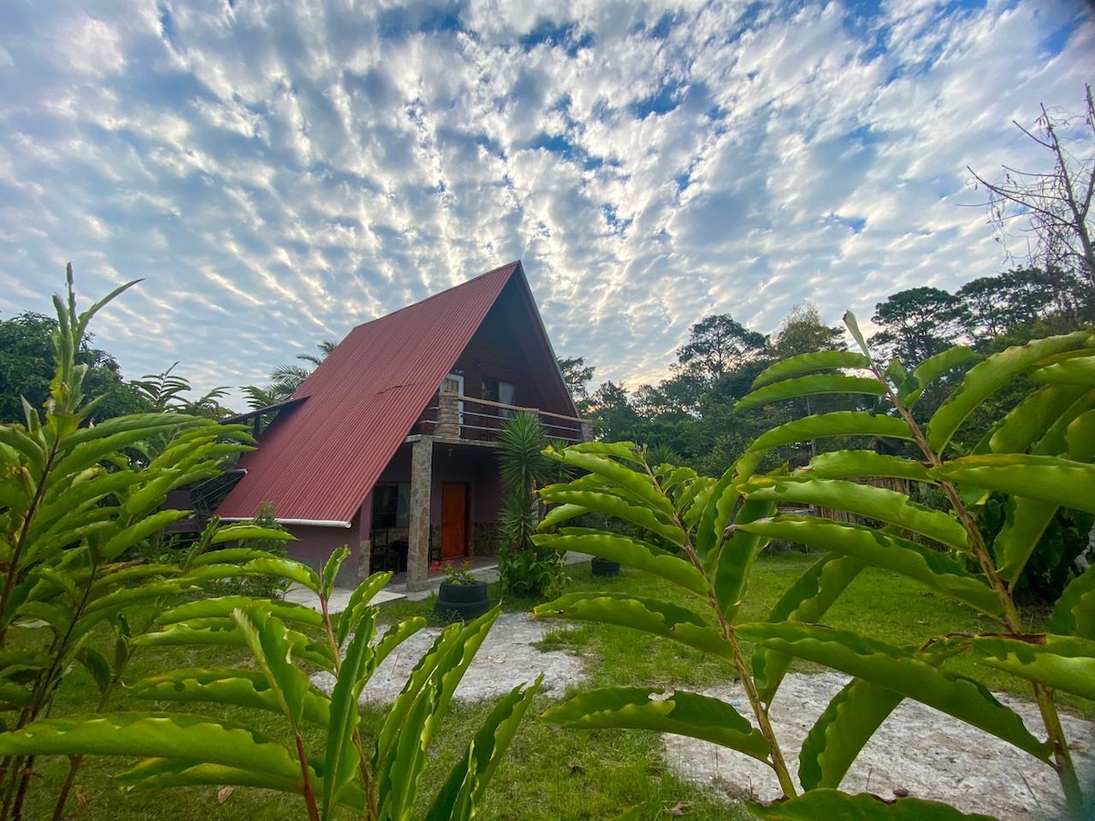A modern cabin with a distinctive triangular roof is framed by lush green plants. The natural stone exterior complements the vibrant red roof, while a well-manicured lawn surrounds the structure. A serene sky adorned with clouds adds to the peaceful ambiance of the setting.