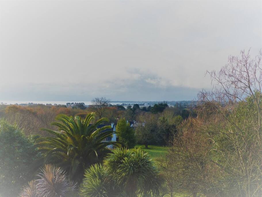 vue de la maison