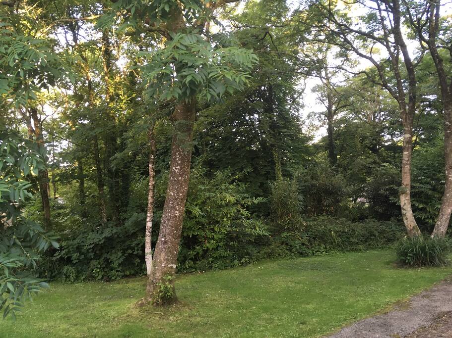 Another view from outside the chalet