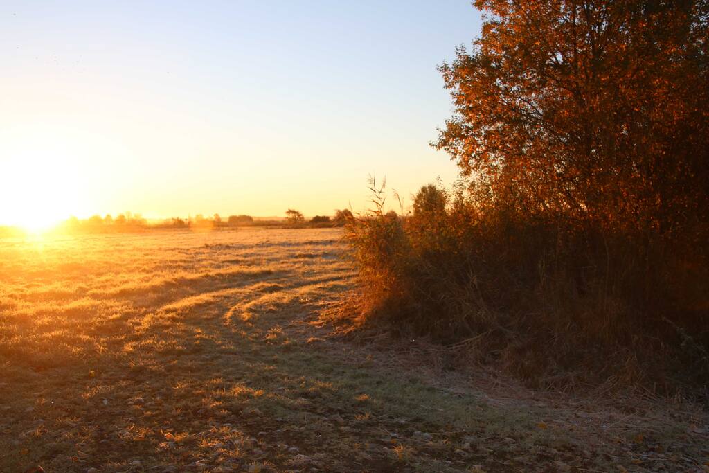 Sonnenuntergang über unserer großen Wiese mit Angelteich