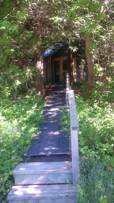 Walkway to Cabin