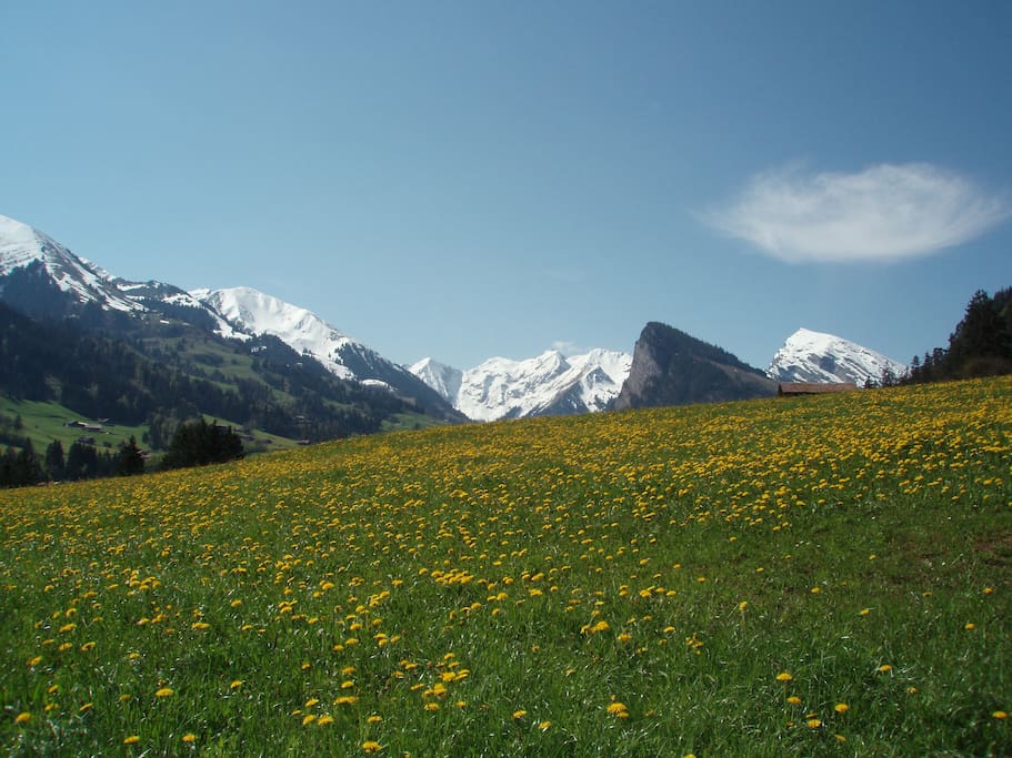 unsere schöne Aussicht
