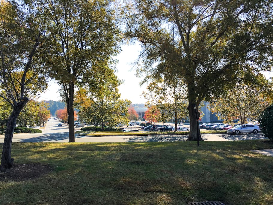 THE best location: across the University Mall!
