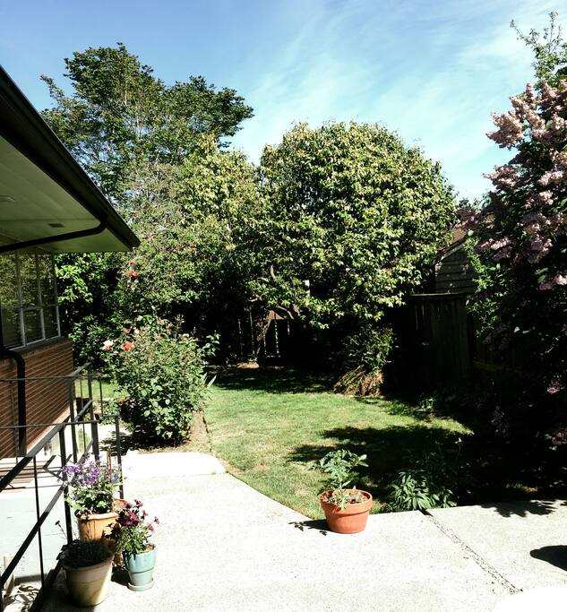 Secluded backyard you will have access to
