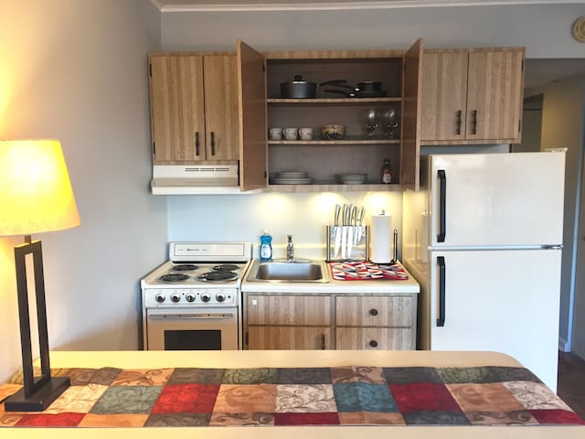 **Awesome Private Condo Near UT/Downtown**