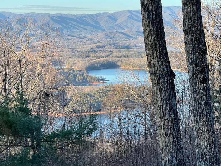 Amazing Winter Views of Blue Ridge&Lake Chatuge! Houses for Rent in Hiawassee, United