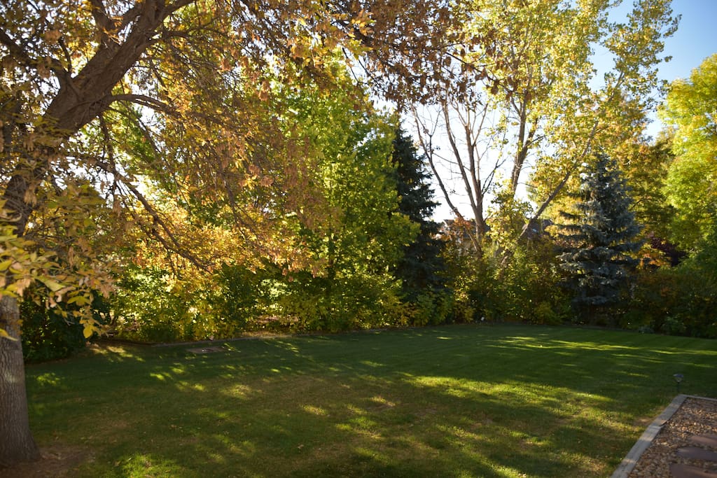 HUGE BACK YARD IN THE FALL, ALL YOURS TO ENJOY