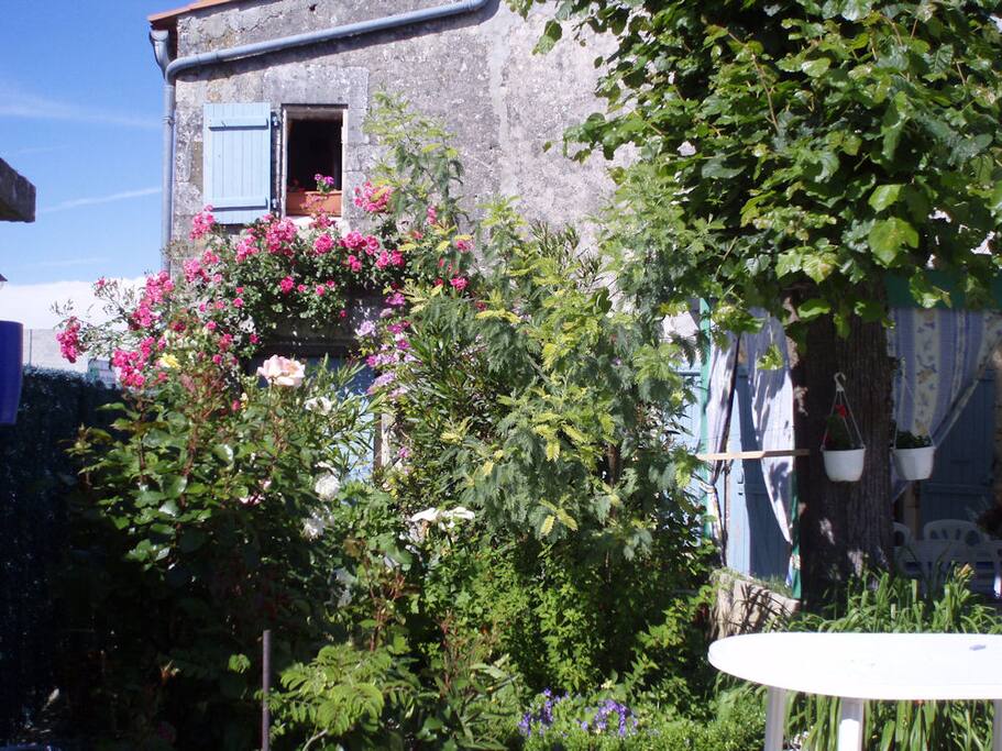 Petit déjeuner sous les lauriers roses