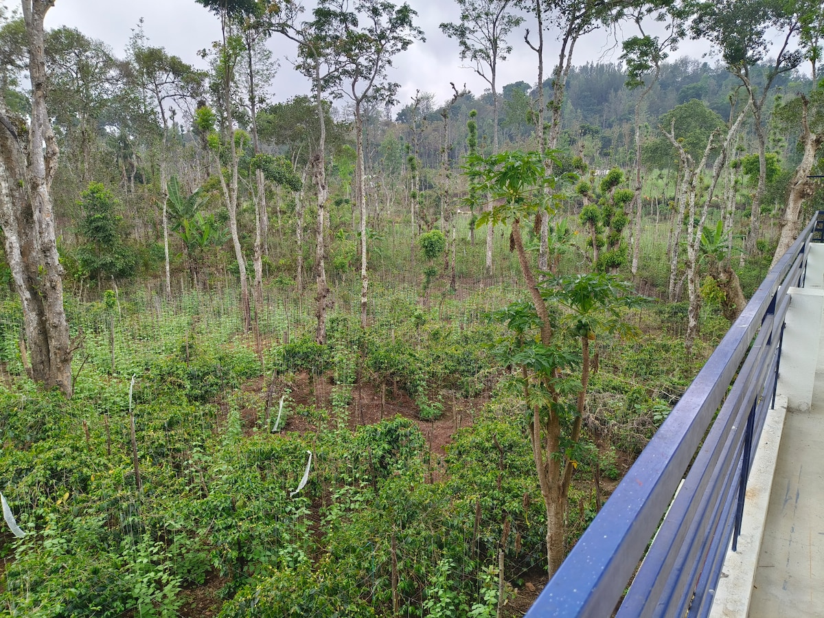 A panoramic view from a balcony reveals a lush green landscape filled with various trees and coffee plantations. The area features a harmonious blend of natural foliage, showcasing diverse vegetation and a serene atmosphere, with a few trees rising prominently in the background.