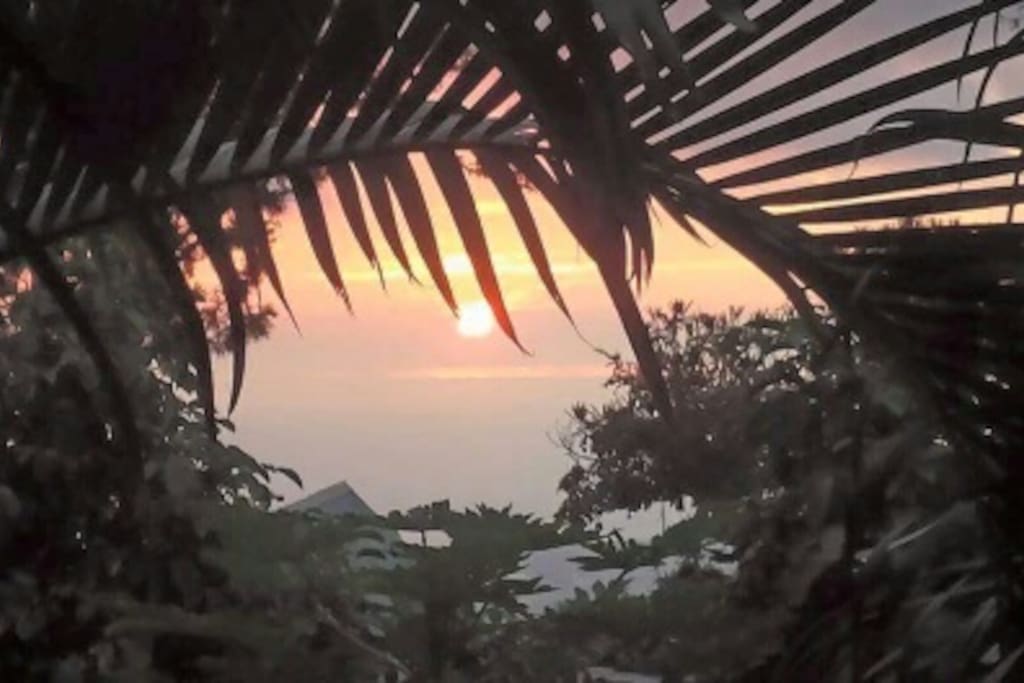 view from lanai