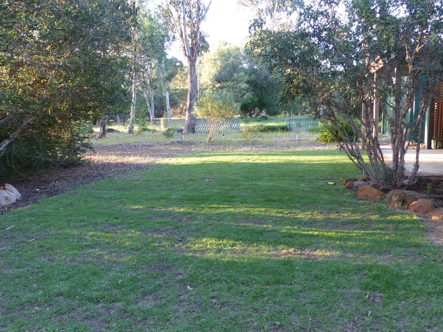 Back Lawn