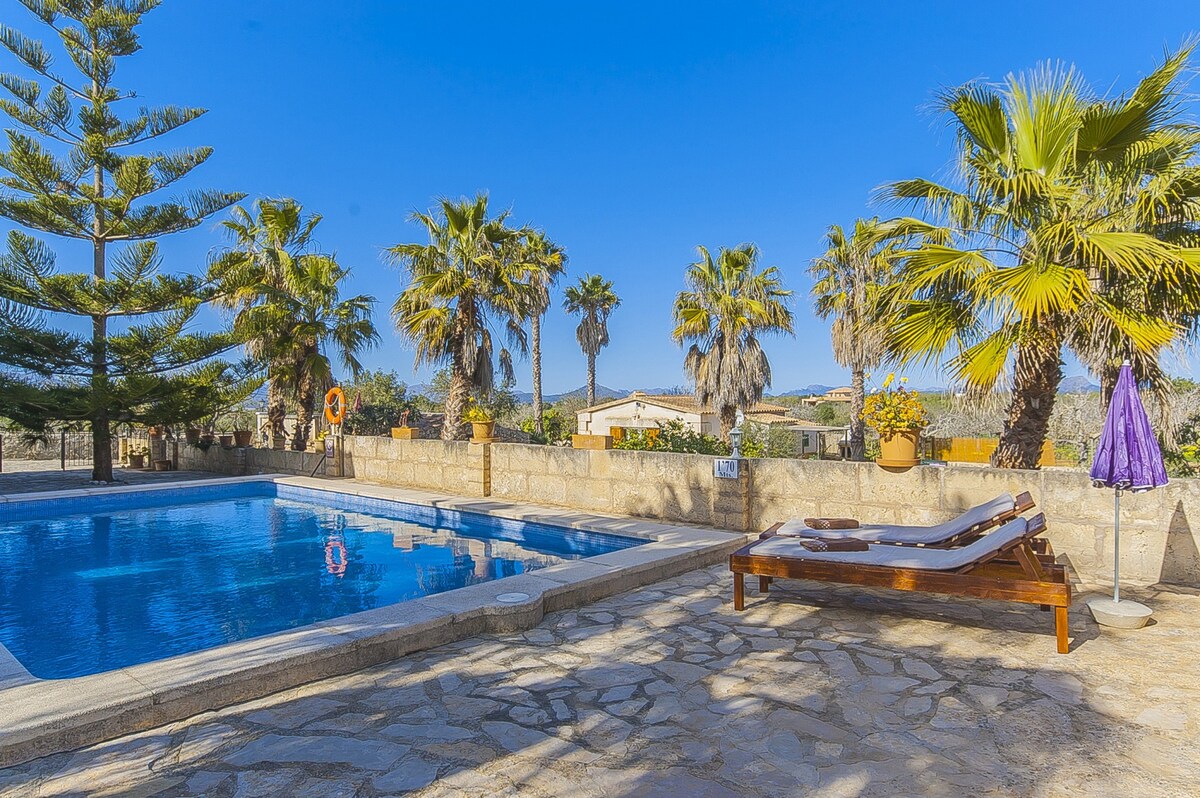 A communal swimming pool is framed by palm trees and leafy greenery, offering a spacious stone patio for relaxation. Comfortable loungers are positioned beside the pool, creating a tranquil outdoor space surrounded by a beautiful rural landscape.