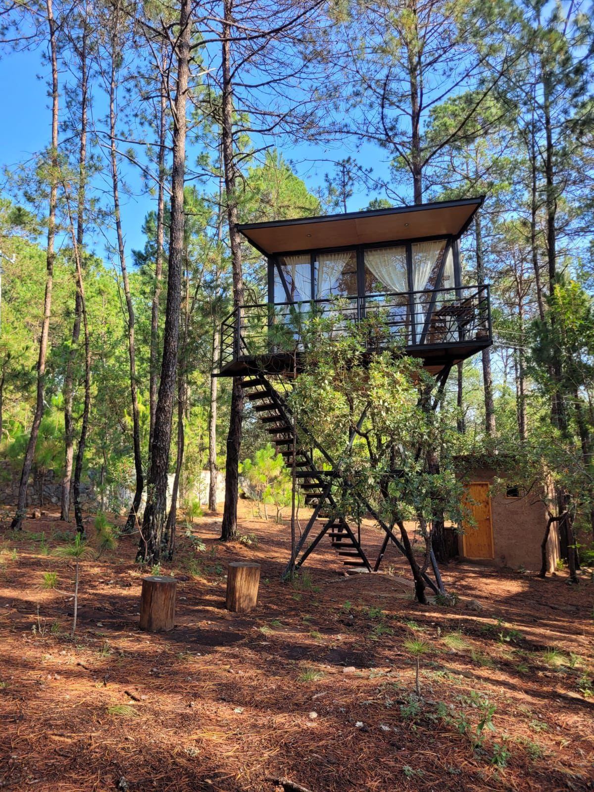 An elevated glamping cabin is nestled among tall trees, accessed by a set of metal stairs. Large windows provide views of the surrounding forest, while the wooden structure blends harmoniously with the natural setting. Soft sunlight filters through the branches, illuminating the area.