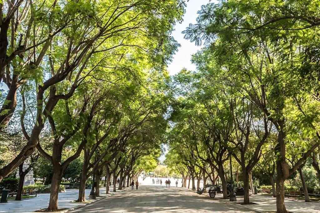 Neighborhood Park
