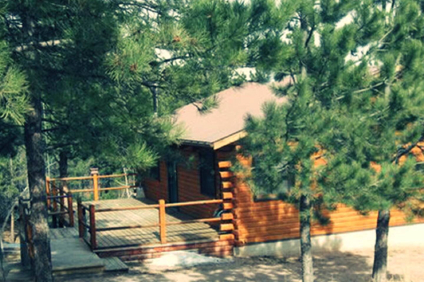 The Swiss Drive Cabin By Lake Pactola Cabins For Rent In Rapid City