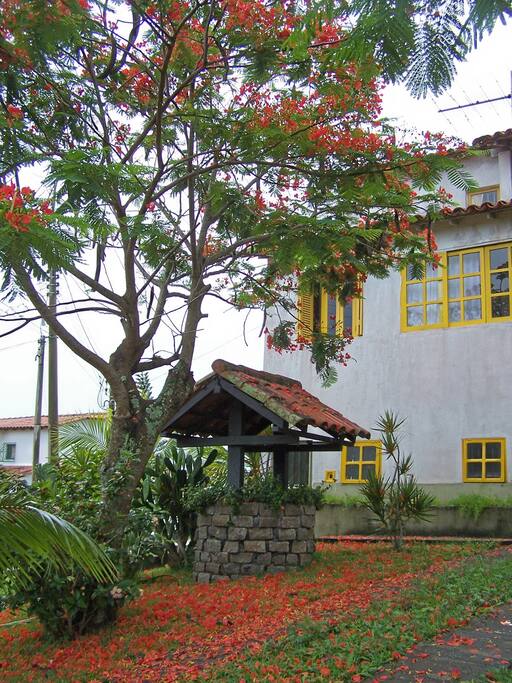 Fundos da casa