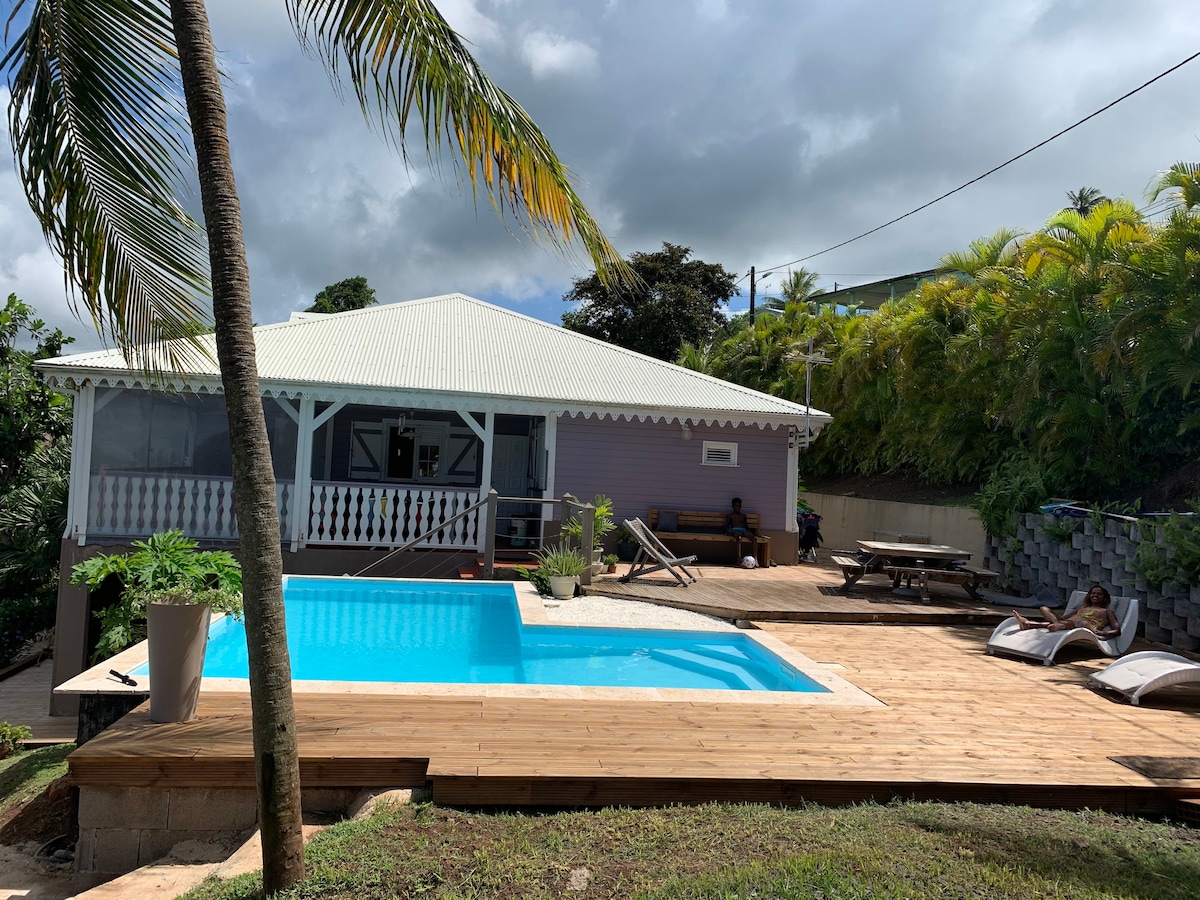 A colorful Creole villa is shown surrounded by lush greenery, featuring a wooden deck and a rectangular swimming pool. Lounge chairs are positioned near the water, and seating areas are visible under the shade of tropical trees. The sky is partly cloudy, adding to the serene ambiance.
