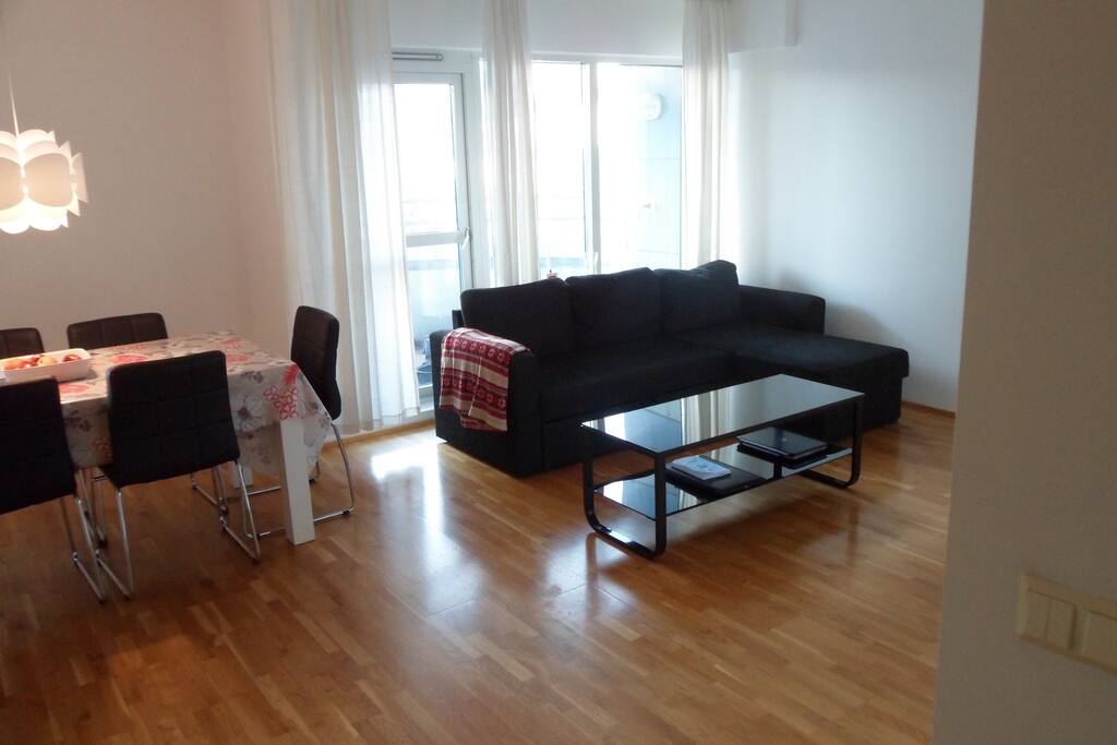 Living room (angle 2), with a sofa bed.