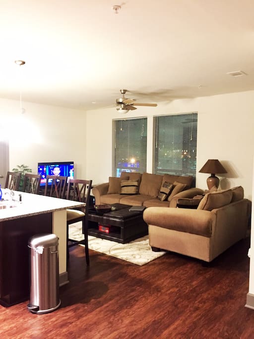 View of TV Area!