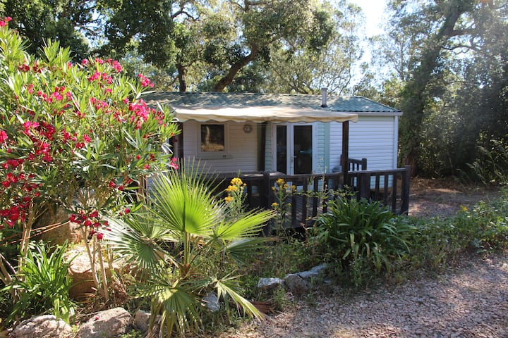 Mobil-Home 2 chambres à Porto Vecchio - Bungalows à louer à Porto-Vecchio,  Corse, France - Airbnb