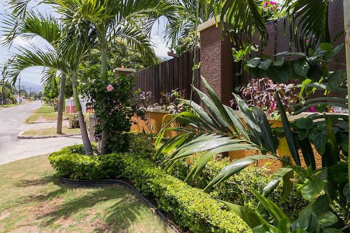 Beautiful Suite With Fishpond, Kingston - Kingston