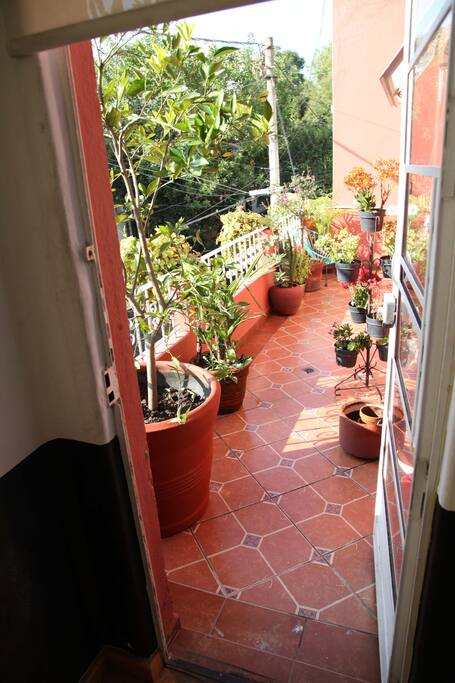 Terraza.