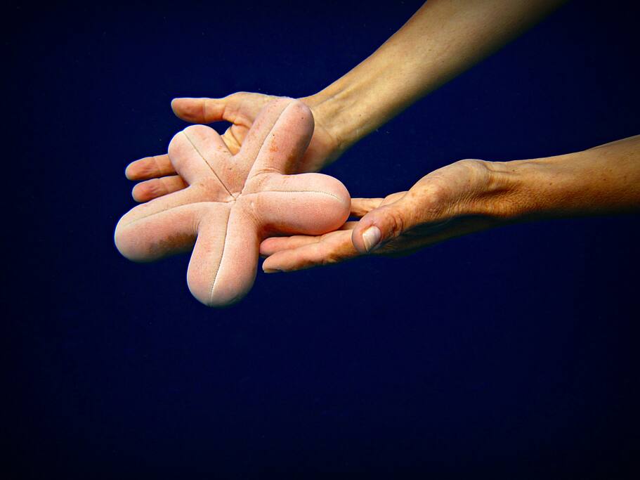 Diving