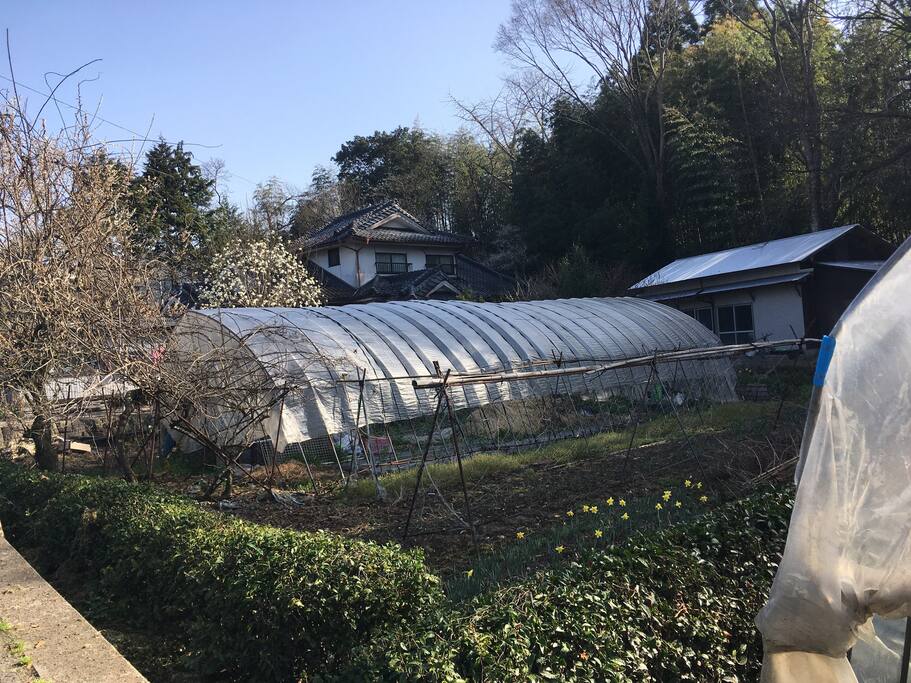 家の前は畑とビニールハウスがあります。