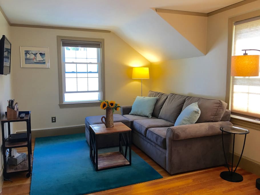 Sofa has pullout queen bed