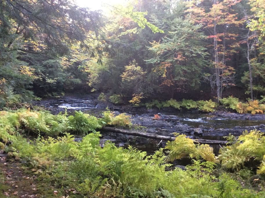 Beautiful Skootamatta River in the fall. The rushing river you can hear from the cabin.