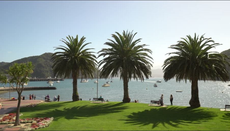 Three tall palm trees are featured in the foreground, set against a backdrop of a tranquil harbor. Several boats are visible on the shimmering water, with hills rising in the distance. Benches are positioned along the grassy area, inviting leisure and enjoyment of the view.