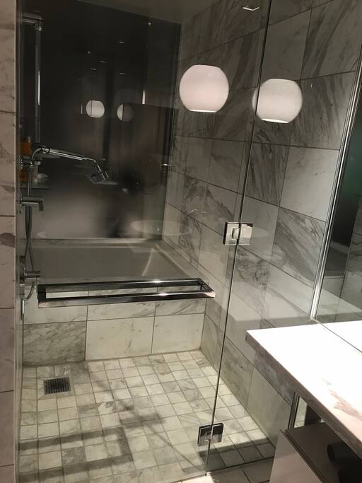 A huge Jacuzzi Tub and Shower