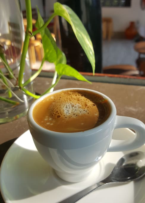 La Cool House - Coffee
