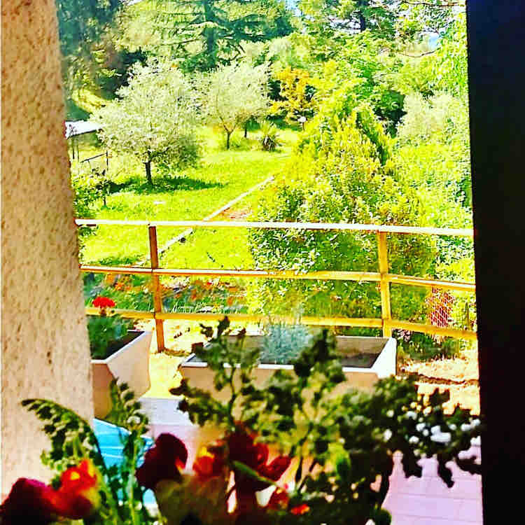 Изглед към градината от спалнята