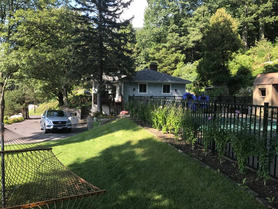Pool area and yard