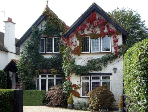 Beautiful Period Home in the heart of Bray Village