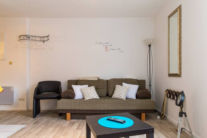 Gîte ''Résidence les 3 châteaux'' à Colmar