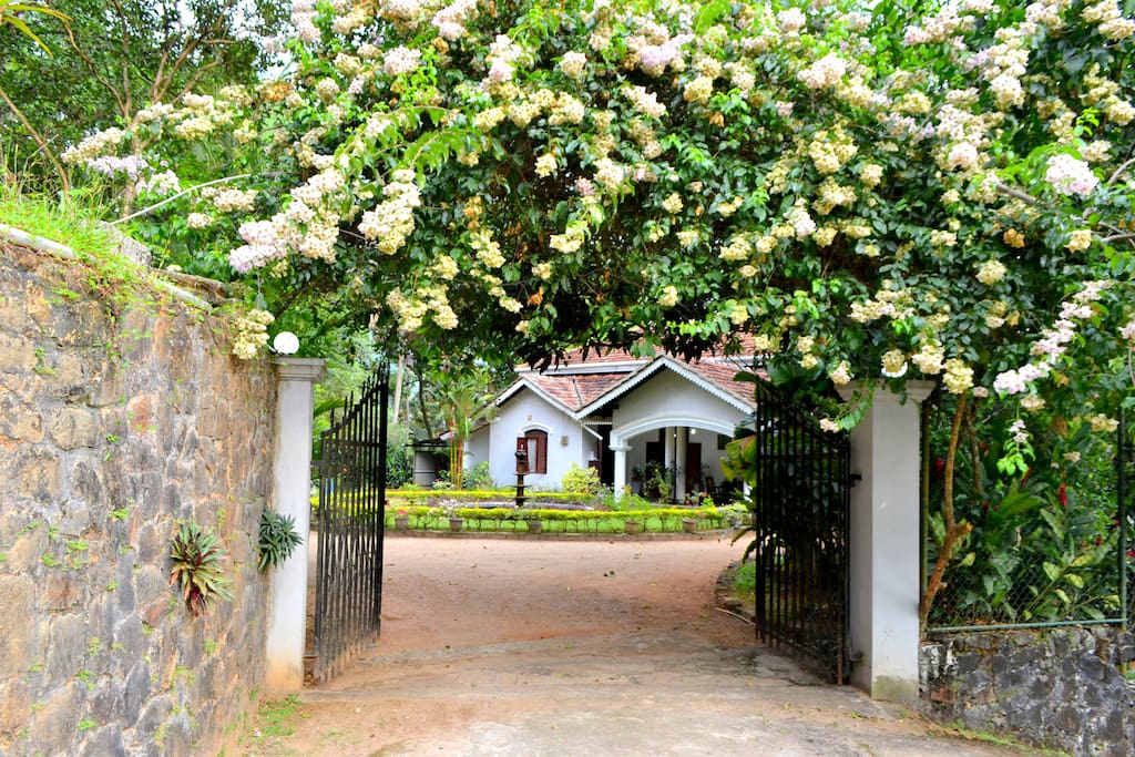 Front view of Bungalow