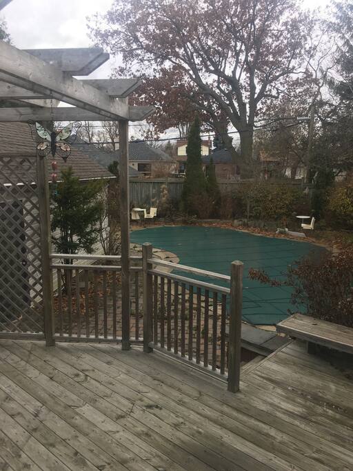 Backyard/Pool