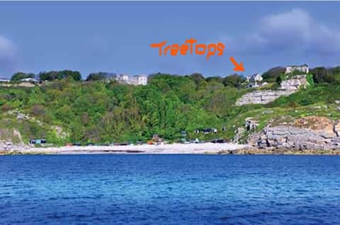 Treetops Cottage, seaviews, above ancient Cove