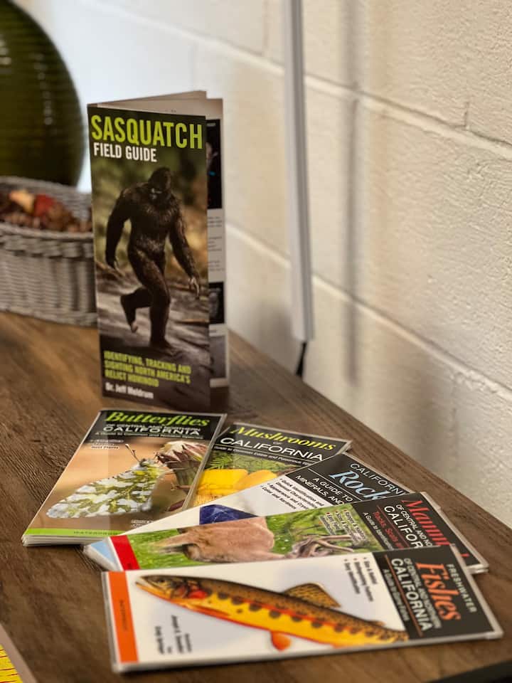 Travel guides & reading materials in suite to help you make the most of your visit to Siskiyou County!