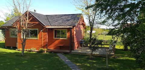 Popular Airbnb listing: Family cabin for travelers in Los ángeles