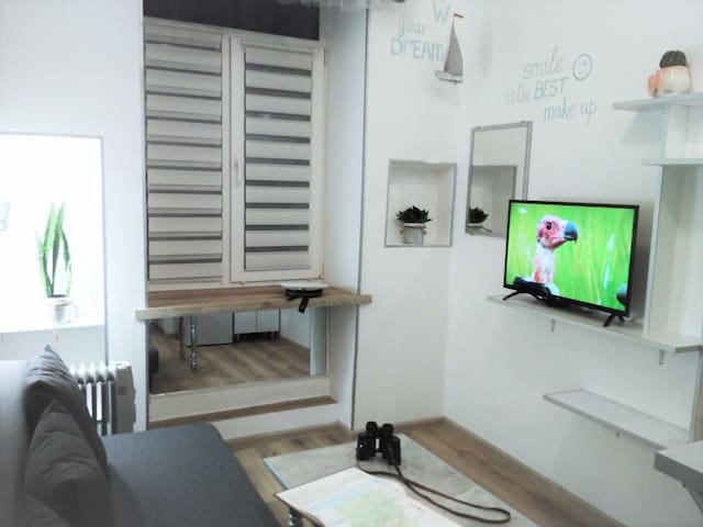 Sunny cozy apartment in Lviv city center