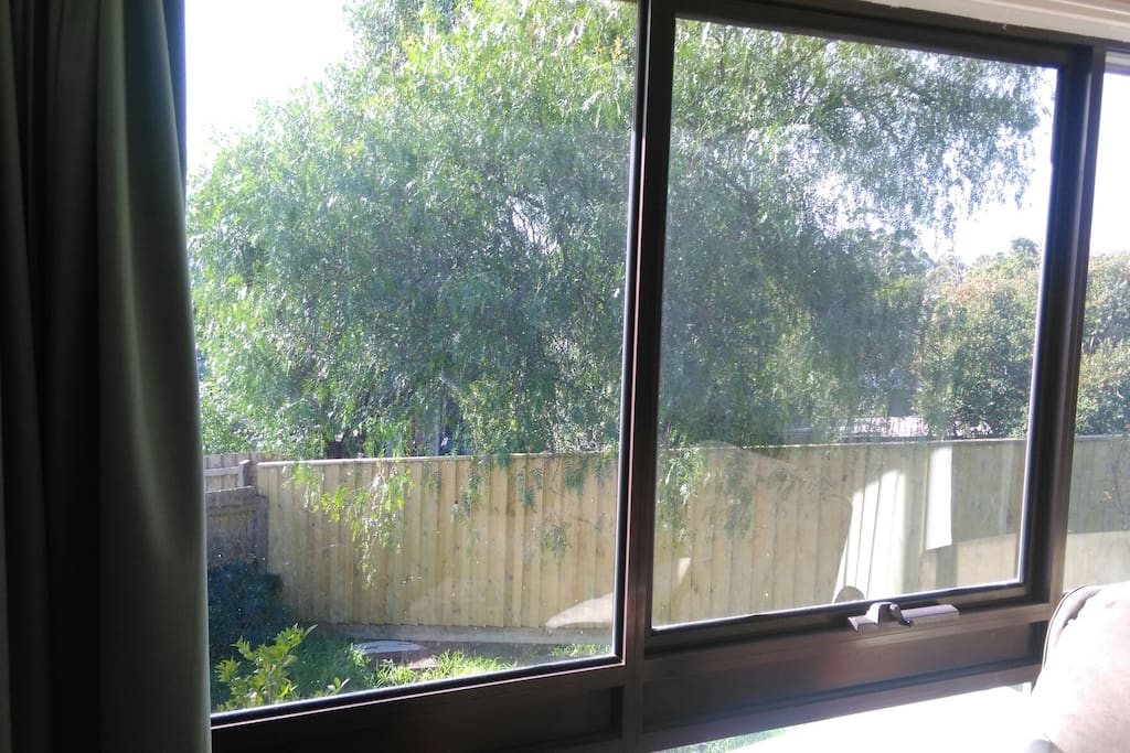 Sunroom view of peppercorn tree. Very relaxing