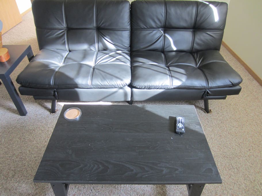 Living room couch and coffee table