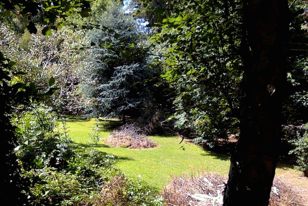 lower garden