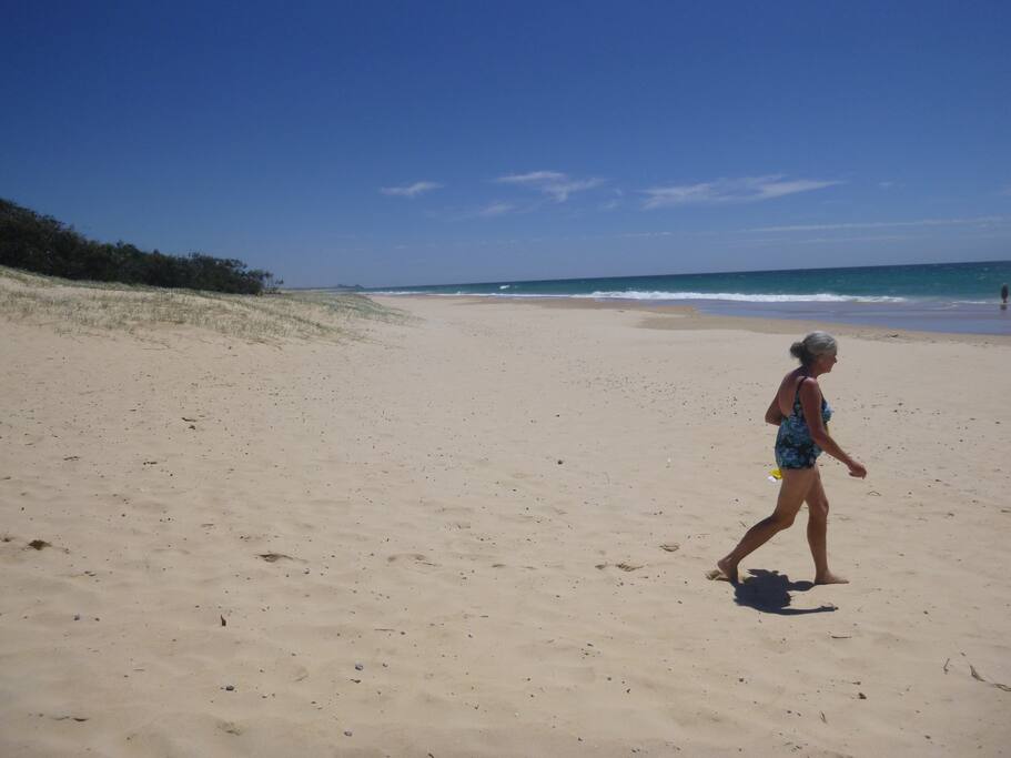 Our beach looking North