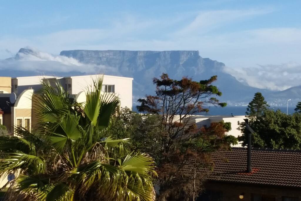 Table Mountain View