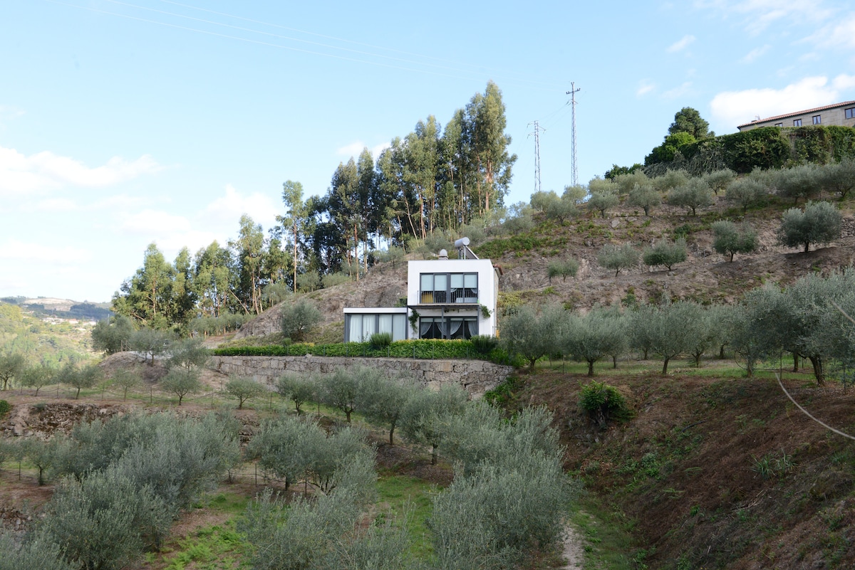 A modern villa is positioned amidst rolling hills adorned with olive trees. The structure features large glass windows and a minimalist design, integrating with the landscape. The surrounding greenery complements the serene rural setting, creating a peaceful environment for relaxation.