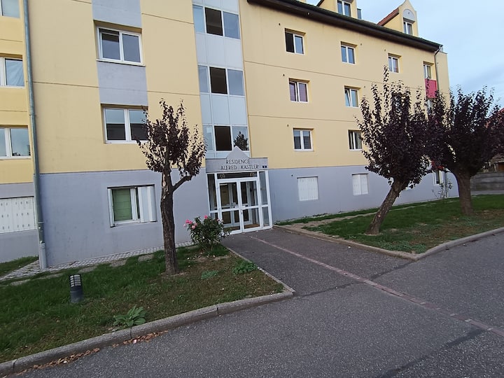 Appartement Dans Une Résidence Sympa Et Calme - 科爾馬